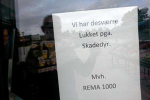 Skadedyr lukkede Rema 1000-butik