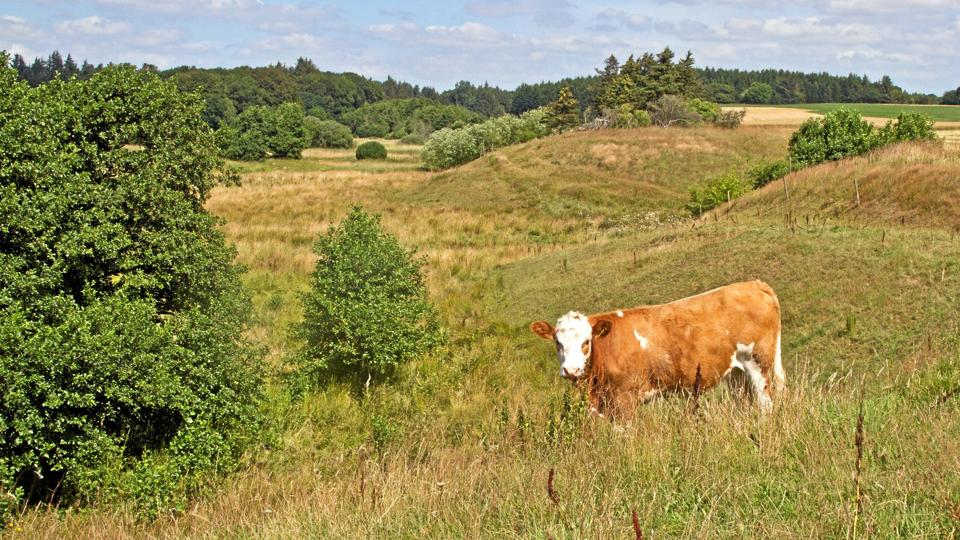 Galleri - Tryk og se alle billederne.