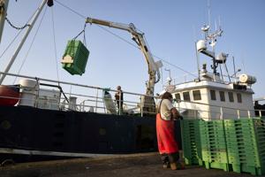 Fiskeriminister lemper kamerakrav på kuttere i Kattegat