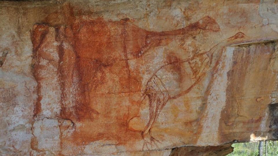 Australske aboriginere har for flere tusinde år siden malet huletegninger af kæmpefugle. Denne tegning menes at vise den uddøde fugl Genyornis newtoni. (Arkivfoto). <i>Ben Gunn/Ritzau Scanpix</i>