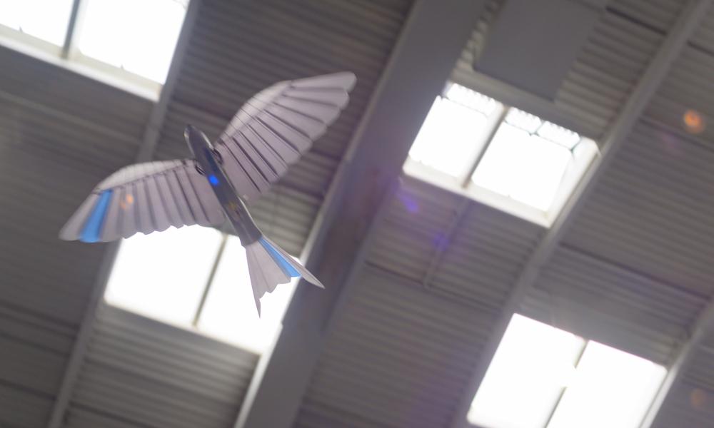 Denne kunstige fugl fra Festo fløj rundt under taget i Hal 7.