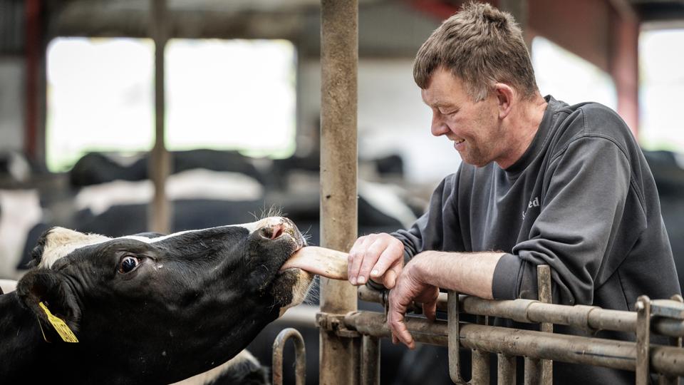 63-årige Gert Jonstrup er mælkeproducent fra Vrå. Han har udsigt til et rigtigt godt regnskabsår. <i>Foto: Martin Damgård</i>