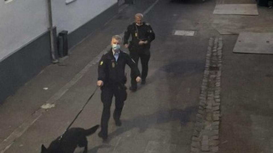 Betjente fra to hundepatruljer deltog i den timelange efterforskning i et af Thisteds centrale kvarterer lørdag aften. Privatfoto <i>Privatfoto</i>