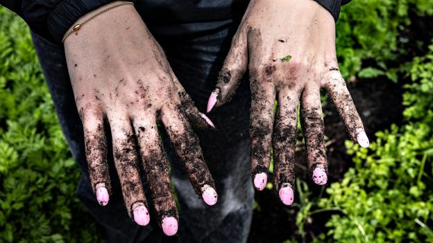 Sådan ser ens fine, rødlakerede negle ud, når man har arbejdet i køkkenhaven. Men det tager Caisa Kalstrup gerne med, når formålet er bæredygtigt og resultatet af arbejdet i øvrigt smager godt. <i>Foto: Claus Søndberg</i>