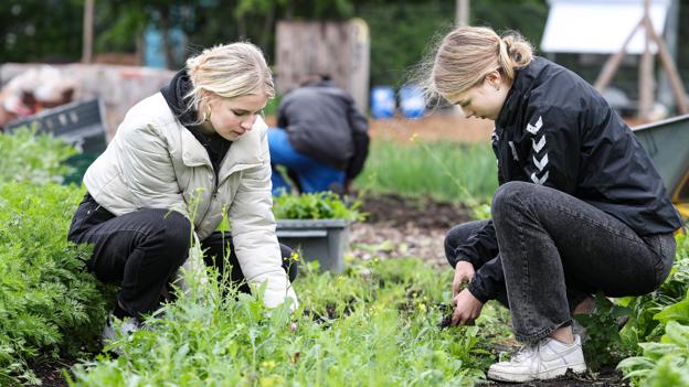 Emilie Reinholdt Mørch fra Herning (tv.) og Caisa Kalstrup fra Blokhus har det fint med at rode i jorden og hjælpe deres fremtidige måltider på vej. Også selv om det går udover farven på hvide tennissko og flødefarvede jakker. <i>Foto: Claus Søndberg</i>