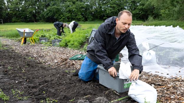 Øko-landmand Michale Pedersen er snart fuldtidsansat til at sørge for, at produktionen af grønt lever op til ønskerne. Det sker i tæt samarbejde med køkkenchef Dennis Horn, så han kan planlægge menuen i god tid efter planternes vækst. <i>Foto: Claus Søndberg</i>