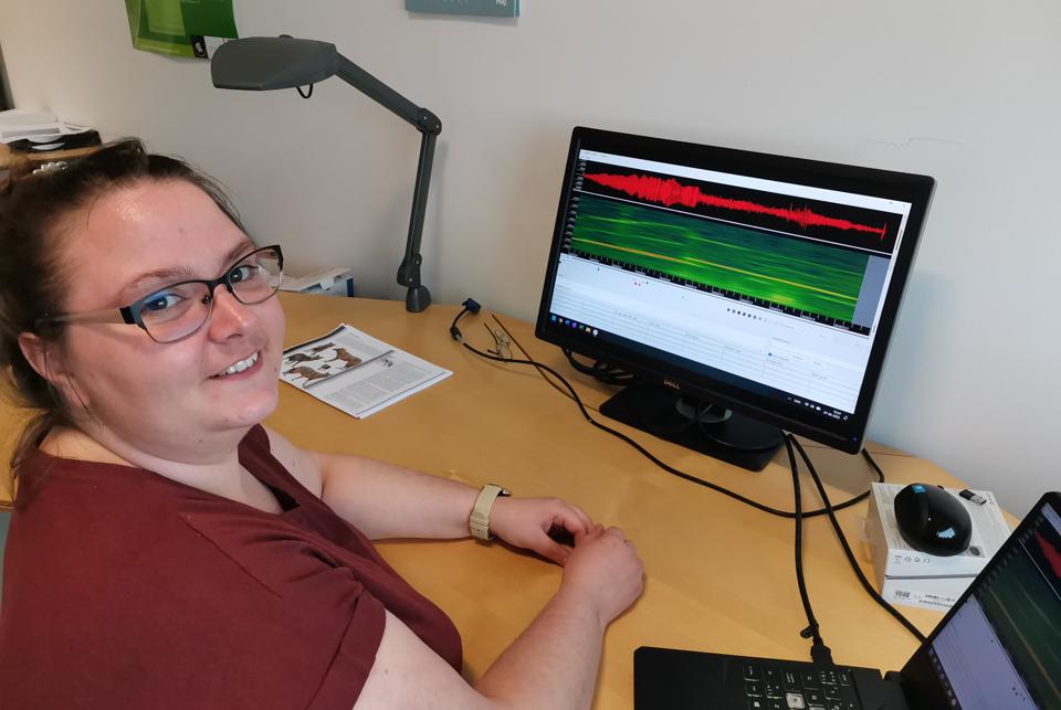 Hanne Lyngholm Larsen, biolog og videnskabelig assistent på Aalborg Universitet, har forsket i identifikation af ulve via deres hyl. <i>Privatfoto</i>