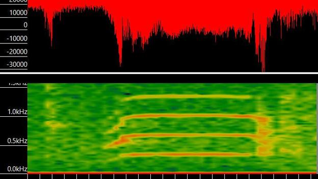 Sådan ser ulvehyl ud, når de analyseres på computer. Dermed kan ulve identificeres ud fra deres lyd. <i>Privatfoto</i>