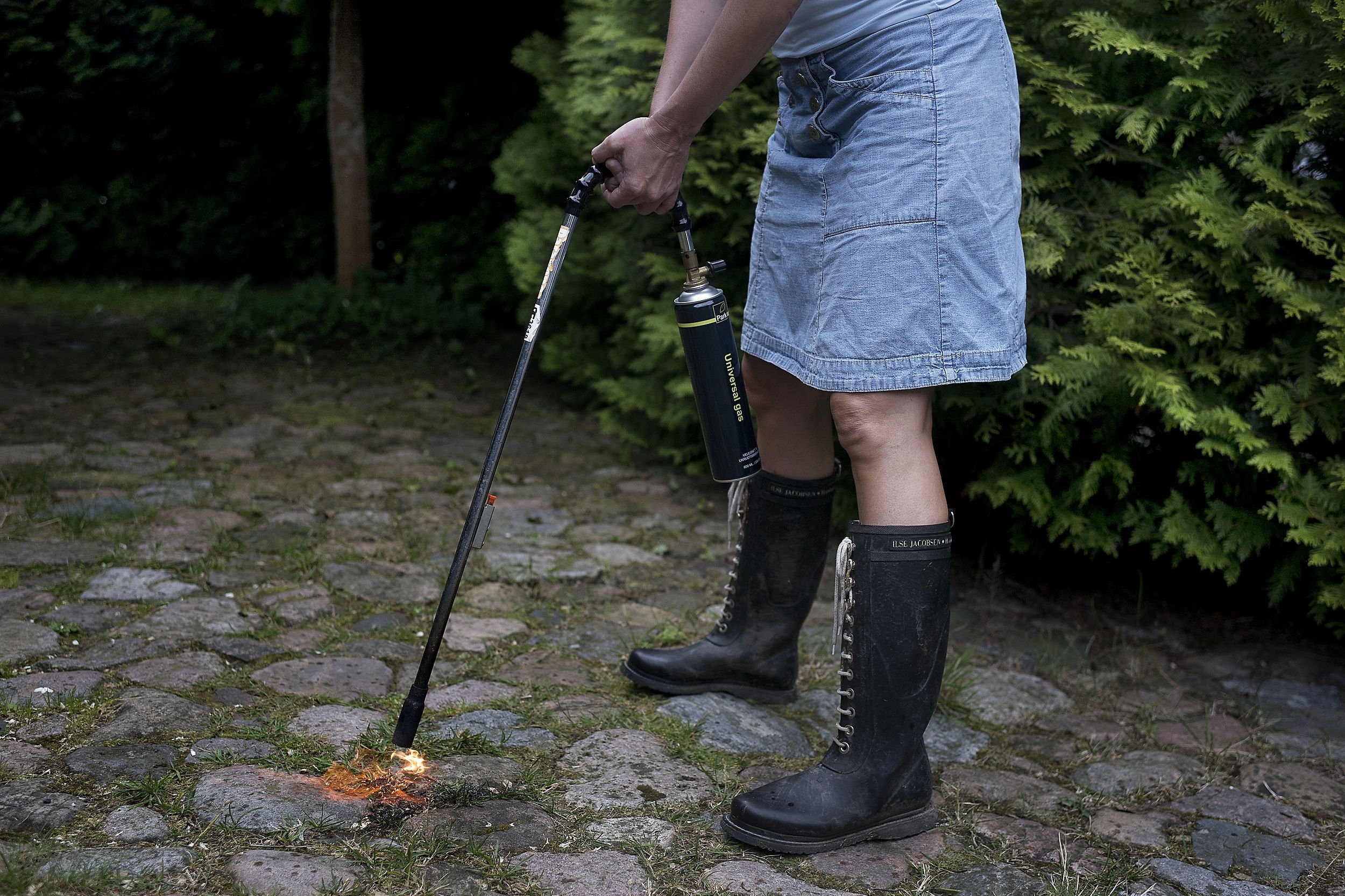 Season of weed burners: For the cave, now watch out