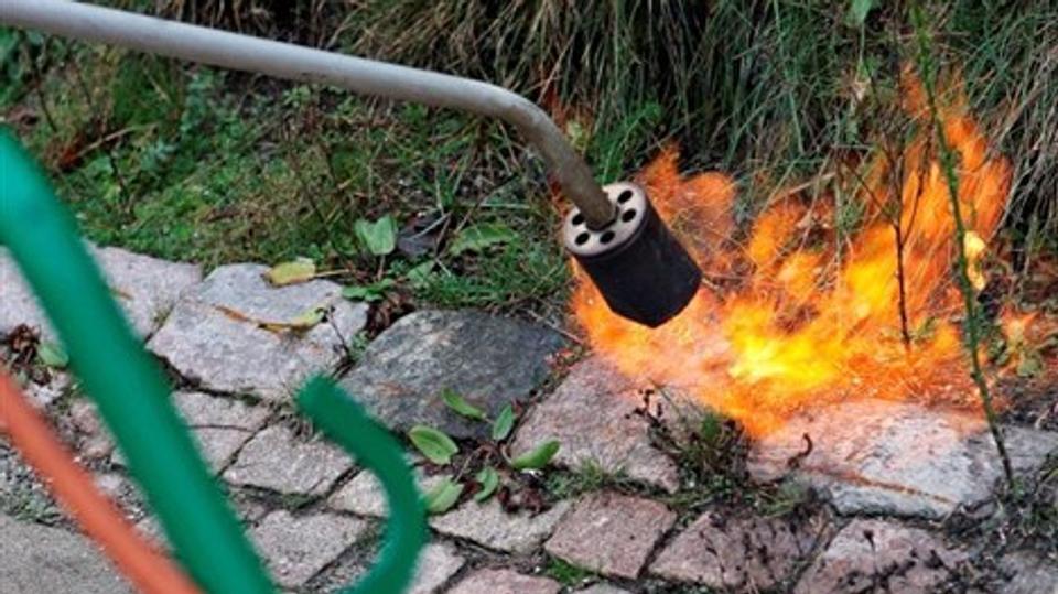 Ukrudtsbrænderen satte ild i sommerhus. <i>Arkivfoto: Grete Dahl</i>