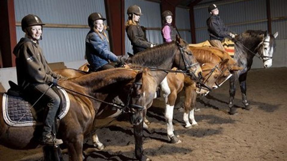 Fristrup Rideklub råder over to ridehaller. Her den store på 40 x 60 meter fra 1981, der har fået nyt gulv i forbindelse med jubilæumsarrangementerne i 2012. Foto: Lars Pauli