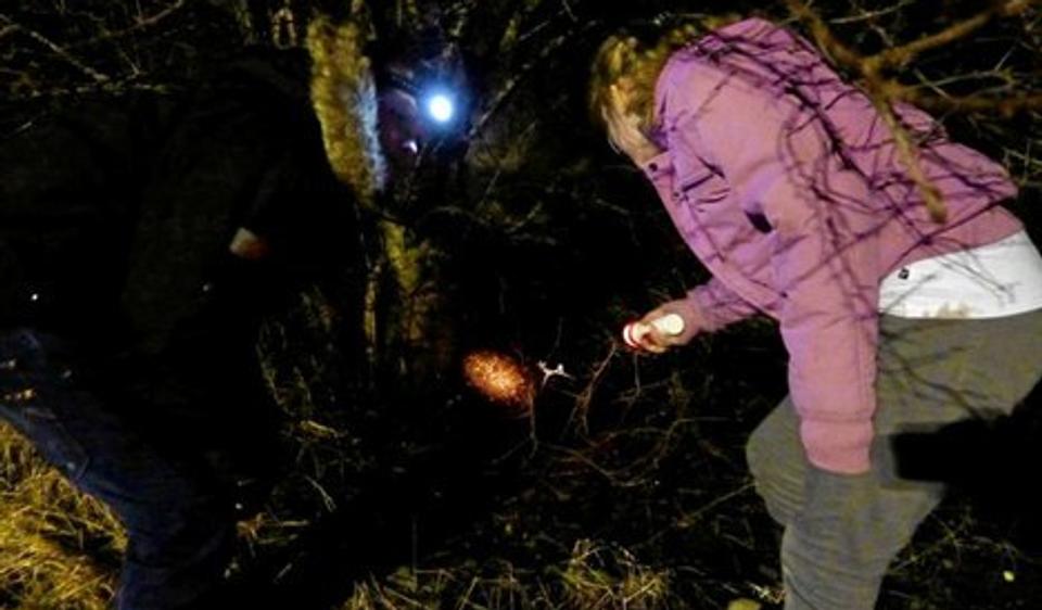 63 deltagere i alle aldre var fredag på jagt efter "Nattens Øjne" i Jenle Plantage. Privatfoto