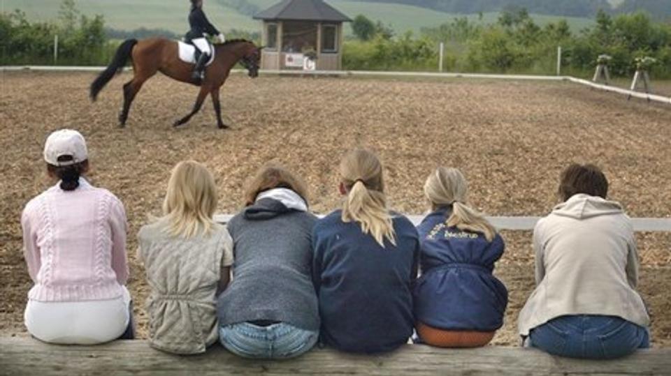 Hos Aalestrup Rideskole er mansom på naturefterskolen bekymret for byrådets beslutning om at lade en vognmands lastbiler bo imellem sig. I alt har de lidt over 300 børn og unge knyttet til sig.
Arkivfoto