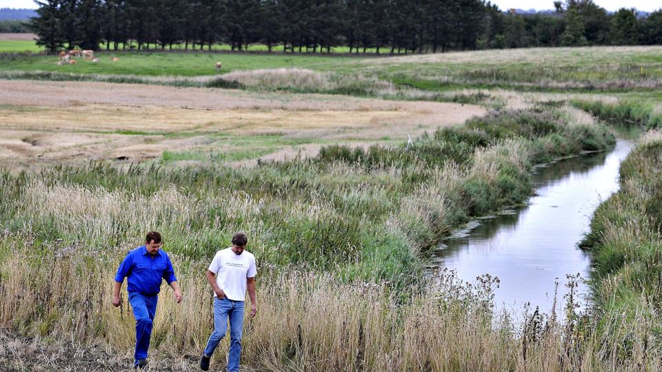 Vand på markerne er et stigende problem for landmændene ved Uggerby Å. Foto: Bent Bach <i>Bent Bach</i>