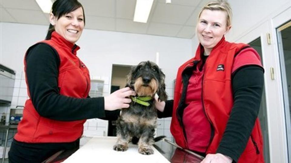 De to nye ejere af Hjørring Dyrehospital. Til venstre veterinær sygeplejerske Cathrina K. Sørensen og til højre dyrlæge Anne Holst Sørensen. Foto: Henrik Louis