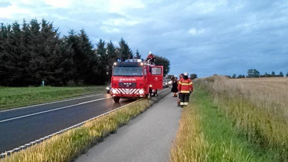 Foto: Ole Fink Mejlgaard