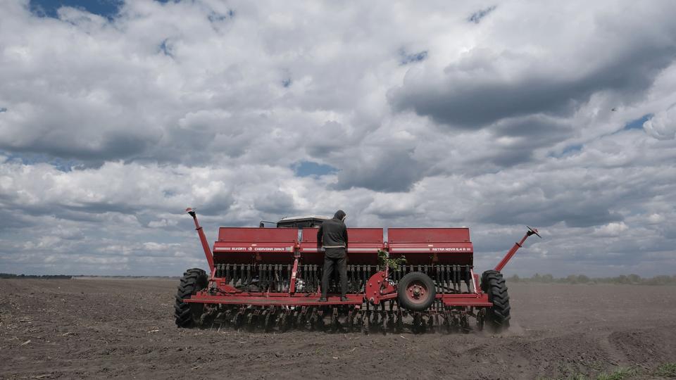 En landbrugsmedarbejder på et landbrug øst for Kyiv. Ukraine har mistet "25 procent af dets agerbrugs-jord" under krigen, oplyser landbrugsministeriet i Kyiv mandag. <i>Hiroto Sekiguchi/Ritzau Scanpix</i>