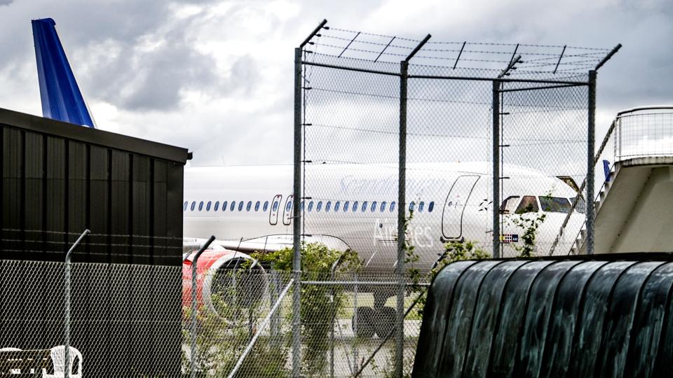 I løbet af august blev afghanere evakueret fra Afghanistan til Danmark. 19. august landede et SAS-fly med 84 personer eksempelvis i Københavns Lufthavn. <i>Nils Meilvang/Ritzau Scanpix</i>