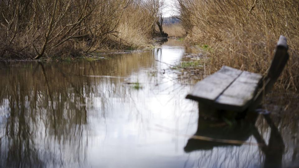 Når det har regnet meget, står grundvandet ofte højt. Og det kan volde problemer for både husejere med kældre og for kommunernes kloaksystemer. (Arkivfoto). <i>Bo Amstrup / Ritzau Scanpix/Ritzau Scanpix</i>
