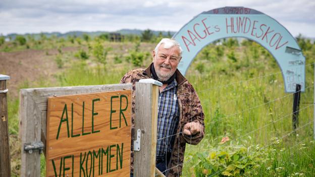 - Det er et par fantastiske piger, jeg har fået ansat, men desværre har jeg kun en uges arbejde til dem, siger Aage Brusgaard ved porten til sin nye hundeskov.