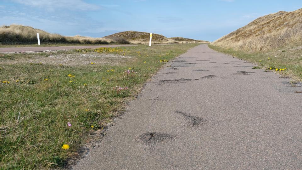 Cykelstien mellem Hanstholm og Klitmøller. <i>Foto: Katrine Dige Houmøller</i>