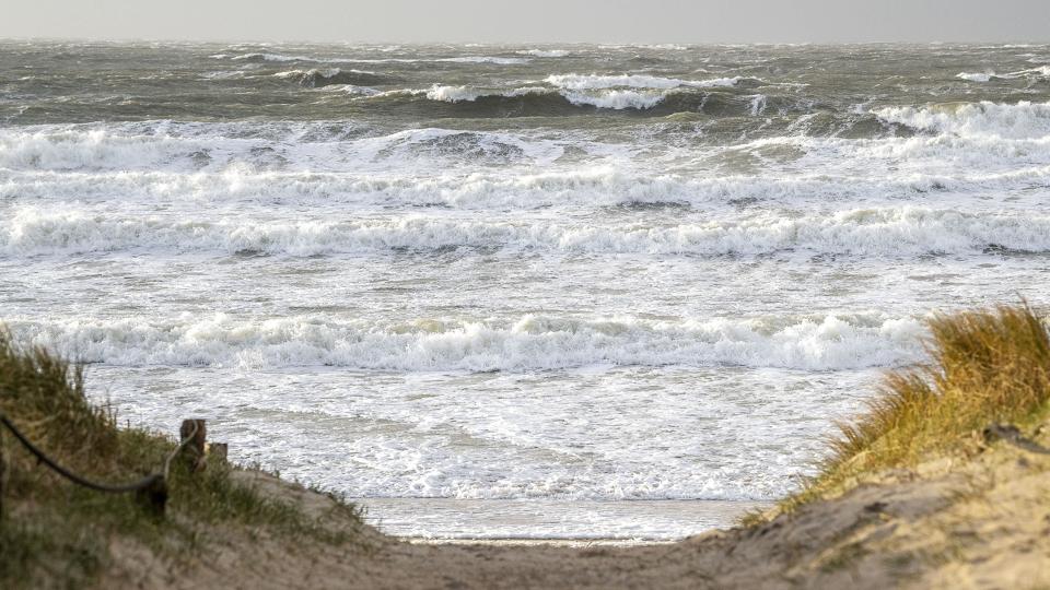 En tysk statsborger mistede søndag livet i en svømmeulykke ved Vesterhavet. (Arkivfoto). <i>John Randeris/Ritzau Scanpix</i>
