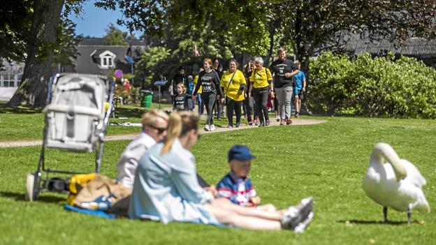 Rododendronparken dannede en smuk ramme om begivenheden. Foto: Allan Mortensen <i>Allan Mortensen</i>