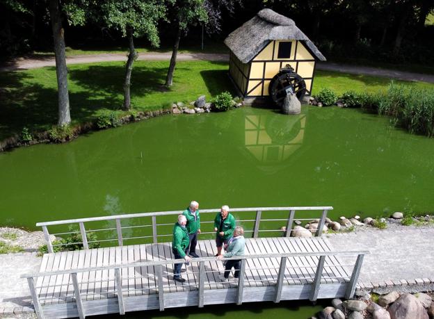 De tre grønklædte herrer i en stille stund med Ruth Mejdahl foran det lille møllehus, de har lagt hundreder af arbejdstimer i at vedligeholde. <i>Foto: Claus Søndberg</i>