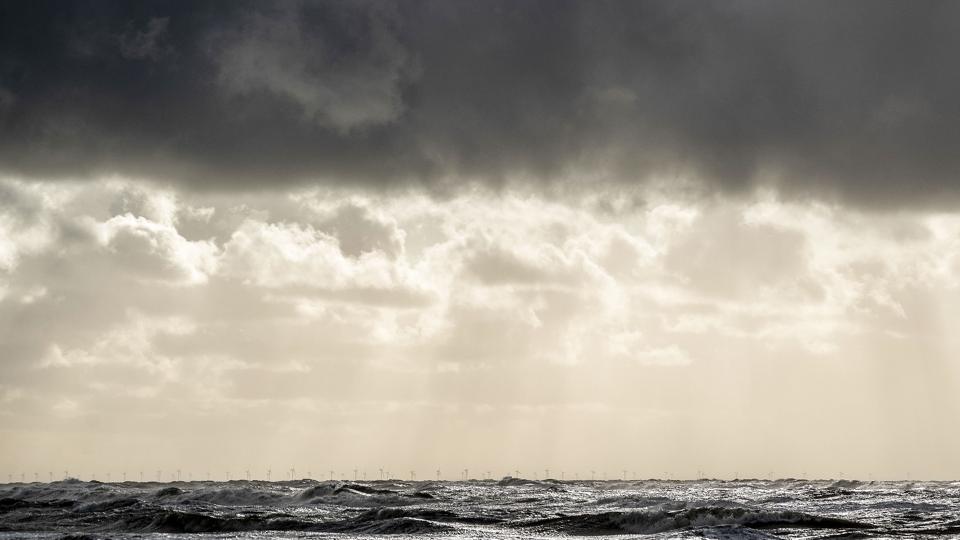 Fødevarestyrelsen undersøger, om fugleinfluenza er årsag til et stort antal døde havfugle flere steder langs den jyske vestkyst. (Arkivfoto). <i>John Randeris/Ritzau Scanpix</i>