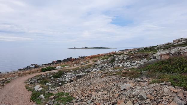 Prins Bertils Sti byder på meget varieret landskab. Lige fra det kystnære til tæt skov senere på ruten. <i>Foto: Jakob Frey Ahrentzen</i>