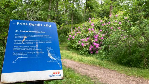 De 33 informationstavler langs ruten fortæller om alskens seværdigheder. Både historiske og nuværende. <i>Foto: Jakob Frey Ahrentzen</i>