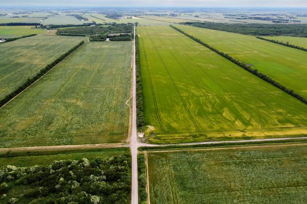 Otte kilometer vest for Brønderslev vil Jørgen Skeel etablere et solcelleanlæg. Anlægget skal efter planen ligge her på begge sider af Tagmarksvej. Solcelleanlægget skal dække et areal på cirka 152 hektar, og det forventes at producere cirka 135.000 MWh årligt - svarende til elforbruget for cirka 30.000 husstande. <i>Foto: Claus Søndberg</i>