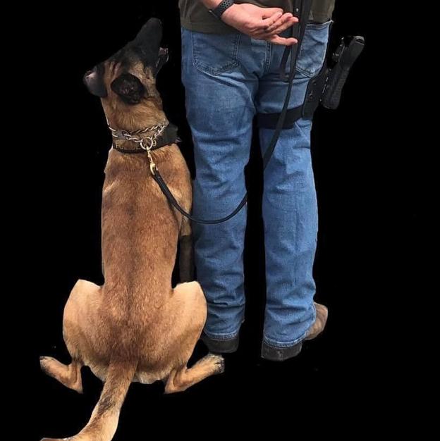 Den belgiske hyrdehund Exo sammen med sin menneskekollega James Prisock fra Pascagoula Police Department i Mississippi. <i>Foto: Pascagoula Police Department</i>