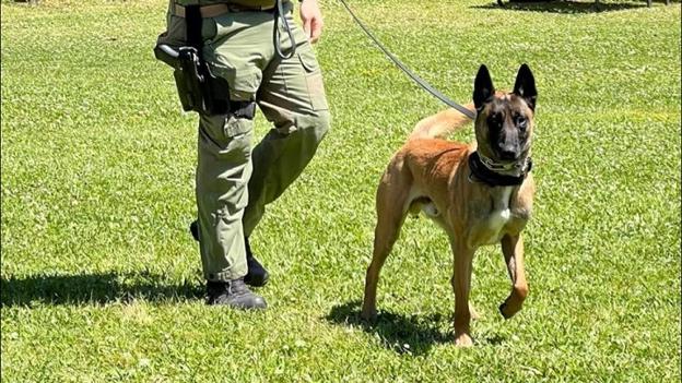 Hyrdehunden Exo sammen med den amerikanske betjent James Prisock. Deres samarbejde kom ikke engang til at vare et år. <i>Foto: Pascagoula Police Department</i>