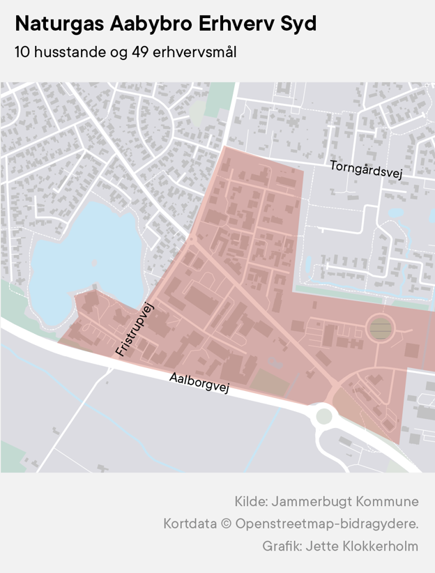 10 husstande og 49 erhvervsmål <i>Jette Klokkerholm</i>