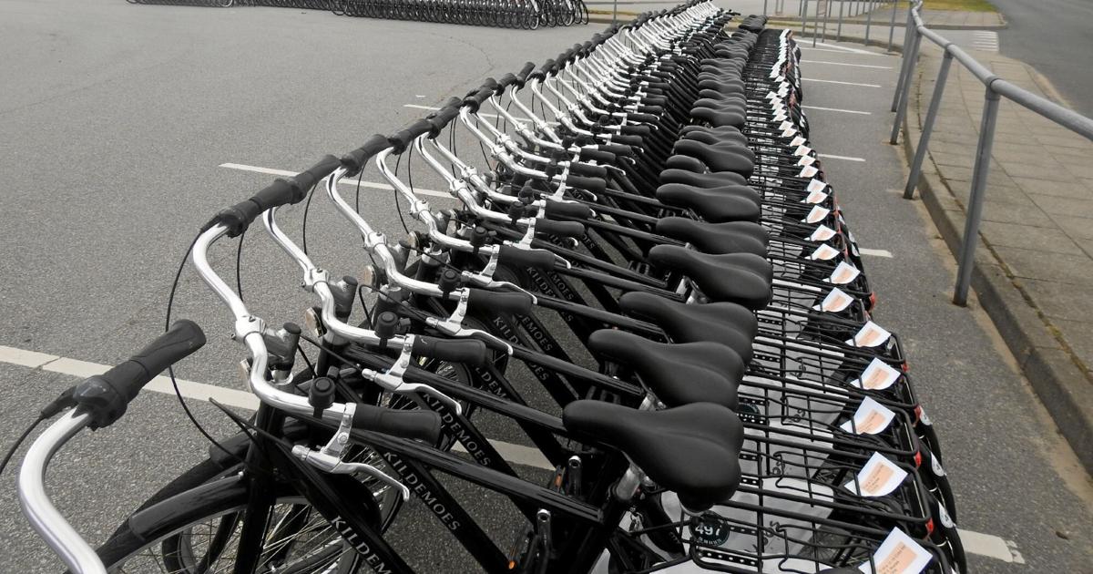 Løse Porto Regnskab Stor succes med udlejning af cykler til nordmænd | Hjørring LigeHer.nu