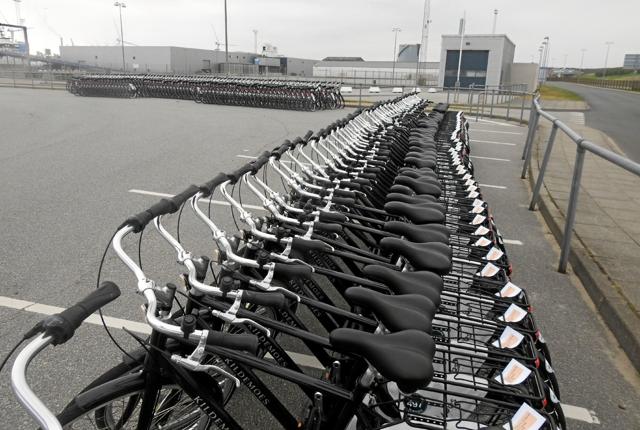 Der står tit over 200 cykler på havnen i Hirtshals, der venter på nordmænd, der vil tage turen til Skagen på cykel. Foto: Jens Brændgaard