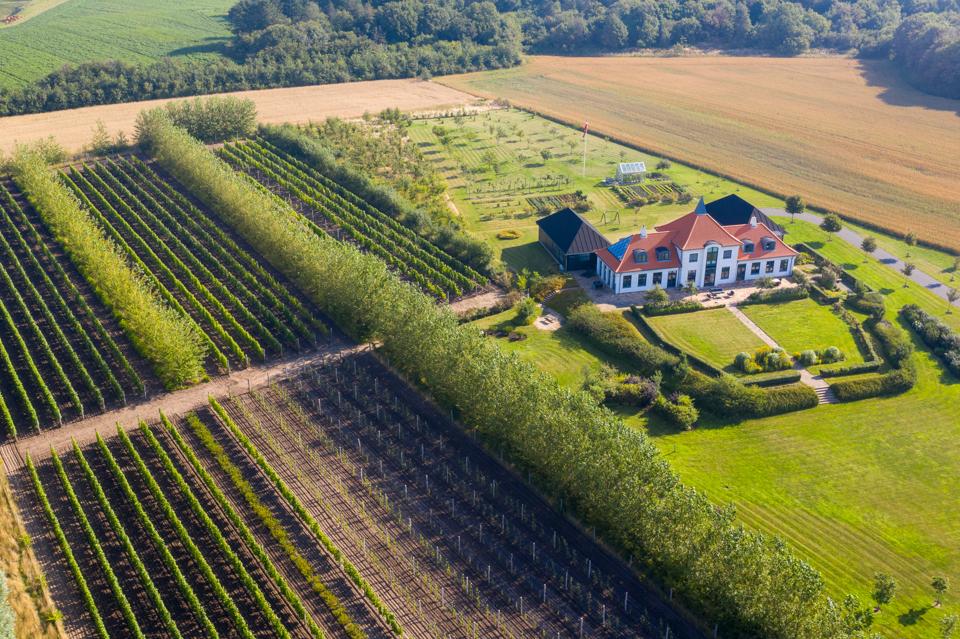 Nygårdsminde Vingård - lidt udenfor Brønderslev - tilbyder meget andet end danskproduceret vin. Seneste skud på stammen bliver aktiviteter med udgangspunkt i et multihus. <i>PR-foto: Nygårdsminde Vingård</i>