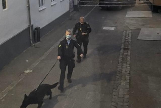 Der var blandt andet to hundepatruljer sat ind i efterforskningsarbejdet lørdag aften i Thisted. Privatfoto