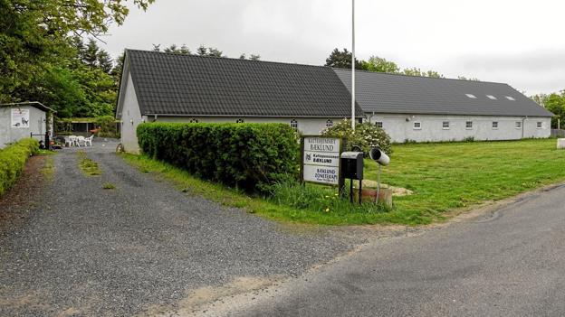 Jonna Fals startede arbejdet på Bæklund i år 2000, og der har været travlt lige siden. <i>Arkivfoto</i>