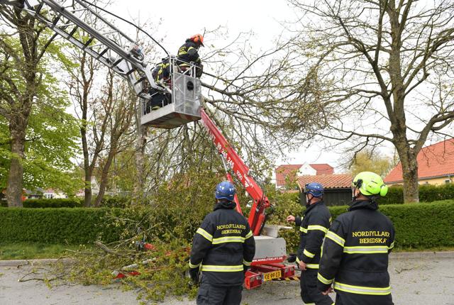 Nordjyllands Beredskab fik fjernet træet fra liften. Foto: Jan Pedersen