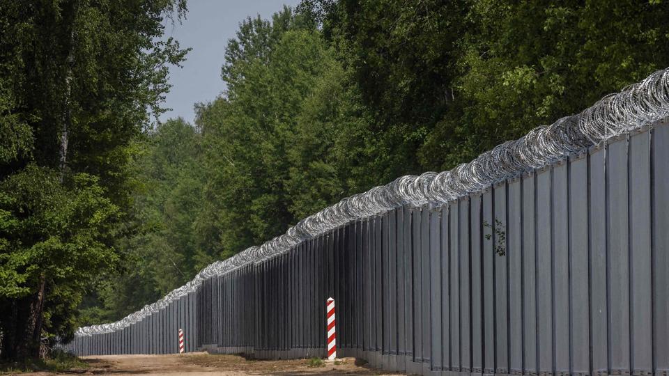 Et kraftigt grænsehegn langs grænsen til Hviderusland står nu færdigt i Polen. Det skal forhindre flygtninge og migranter i at komme ind over grænsen fra nabolandet. Ifølge Polen forsøgte Hviderusland at destabilisere EU sidste vinter ved at sende migranter mod dets grænse. / <i>Wojtek Radwanski/Ritzau Scanpix</i>