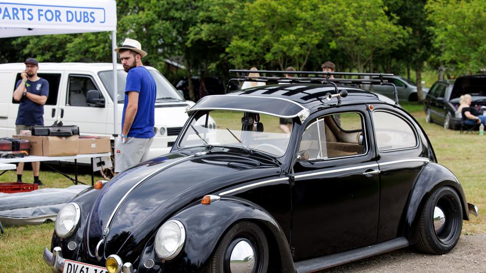 Der er Danes and Dubs i Fruerlundparken ved Øster Hurup. <i>Foto: Bo Lehm</i>
