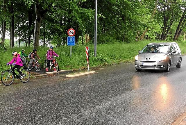 Lokalrådet håber, at både Skørping og Rebild kan blive mere sikre byer at færdes i. Særligt for de bløde trafikanter. Foto: Privat
