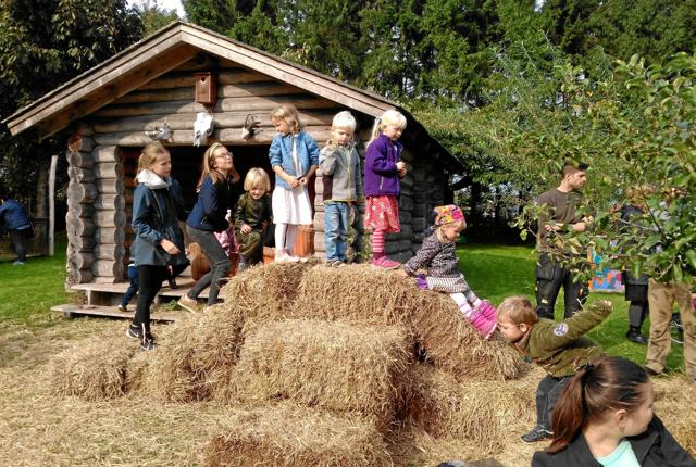 Børnehaven Rabalderstræde fejrede høsten med halmballer, som var sjove at klatre på. Privatfoto