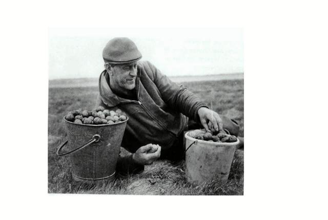 ”Smedens Jens samler mågeæg”, lyder billedteksten til denne illustration til Arne Sloth Kristoffersens fortælling. Privatfoto