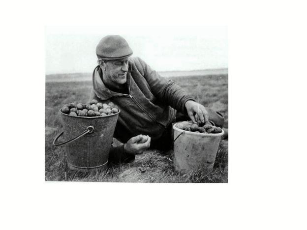 ”Smedens Jens samler mågeæg”, lyder billedteksten til denne illustration til Arne Sloth Kristoffersens fortælling. Privatfoto