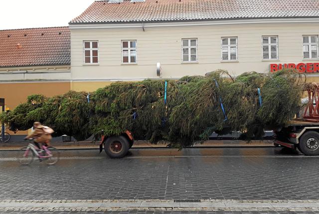 Juletræet fra Fredrikstad på Østerbro - og et eksempel på et af de billeder, arkivet fik ind via Instagram i 2016. Foto: Mia Nielsen