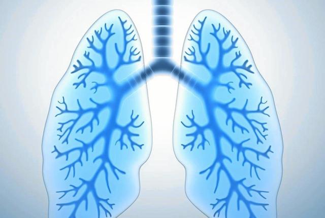 Den internationale lungedag markeres i Jammerbugt.Pressefoto
