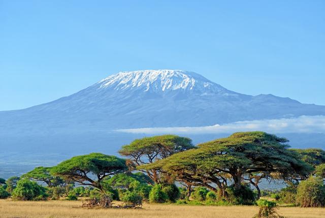 Snow on top of Mount Kilimanjaro in Amboseli. Arkivfoto